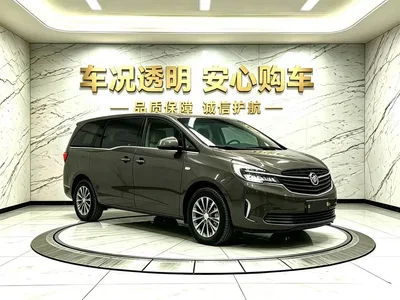 2022 Buick GL8 Land Business Class 652T Comfort, фото 3, лот 11243592