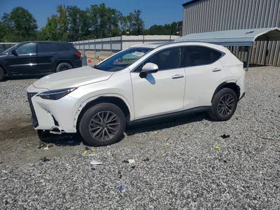 2024 LEXUS NX 350 BASE, фото 1, лот 10900719
