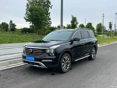 2017 GAC Trumpchi Trumpchi GS8 320T 2WD Luxury Smart Connect (7-seater), фото 1, лот 10587665