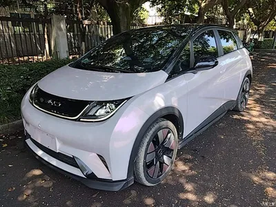 2023 BYD Dolphin 401km Knight Edition, фото 2, лот 10263957