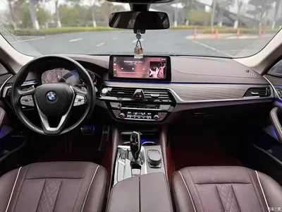 2022 BMW 5 Series 530Li Leading Luxury Package, фото 3, лот 10445023