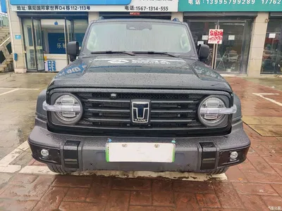 2025 Tank 300 New Energy Hi4-T 36.7kWh Edition, фото 2, лот 11449832