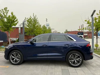 2019 Audi Q8 55 TFSI Premium Dynamic, фото 4, лот 11017395