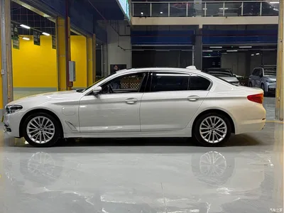 2020 BMW 5 Series New Energy 530Le Range Upgrade Pioneer Edition, фото 4, лот 10474168