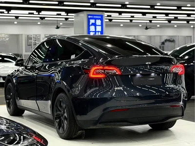 2024 Tesla Model Y Rear-Wheel Drive Version, фото 4, лот 10450235