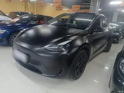 2024 Tesla Model Y Rear-Wheel Drive Version, фото 2, лот 11586313