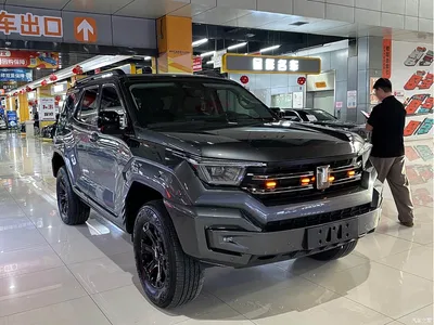 2024 Tank 400 New Energy Hi4-T Off-Road Edition, фото 3, лот 10394785