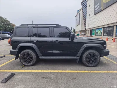 2023 Tank 300 Off-Road Edition 2.0T Challenger, фото 3, лот 11548006