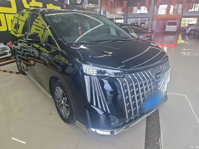 2024 GAC Trumpchi Trumpchi M8 Master Series 400T Premium Edition, фото 4, лот 10422363