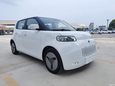 2020 Ora White Cat 360km Standard Model, фото 4, лот 11195675