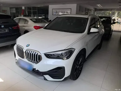 2020 BMW X1 sDrive20Li Fashion Model, фото 1, лот 11011903