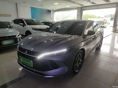 2024 BYD Qin L DM-i 80KM Superior, фото 1, лот 10266018