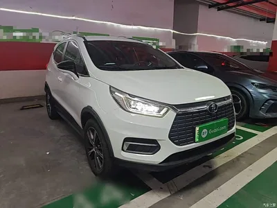 2019 BYD Yuan New Energy EV535 High Energy Navigation Edition, фото 4, лот 10293119