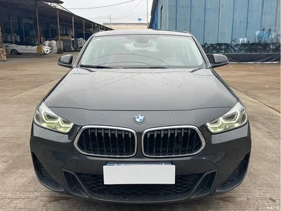 2021 BMW X2 sDrive25i Leading M Sport Package, фото 2, лот 10475466