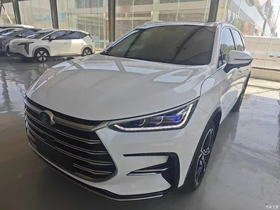 2021 BYD Tang New Energy DM-i 112KM Premium, фото 2, лот 10272481