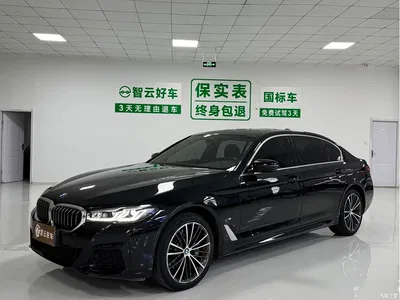 2023 BMW 5 Series 530Li xDrive M Sport Package, фото 1, лот 11503197