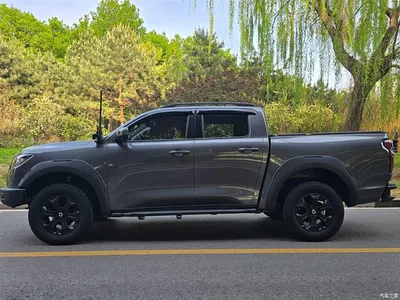 2023 Great Wall Pao 2.0T Off-Road Edition Automatic Gasoline 4WD Everest Edition, фото 3, лот 10246059
