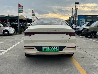 2021 BYD Qin PLUS DM-i 55KM Flagship, фото 4, лот 10689874