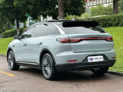 2024 Leapmotor C11 Extended Range 300 Premium Edition, фото 4, лот 10893975