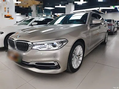 2020 BMW 5 Series New Energy 530Le Range Upgrade Luxury Package, фото 2, лот 10474070