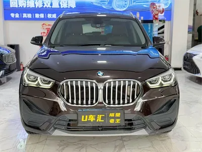 2021 BMW X1 sDrive20Li Fashion, фото 2, лот 10466317