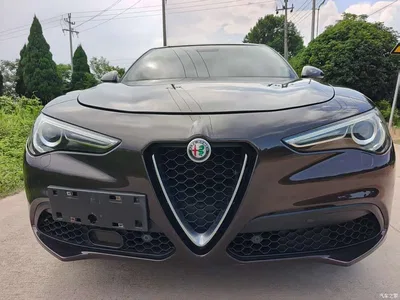 2017 Alfa Romeo Stelvio 2.0T 200HP Elite, фото 1, лот 10239852