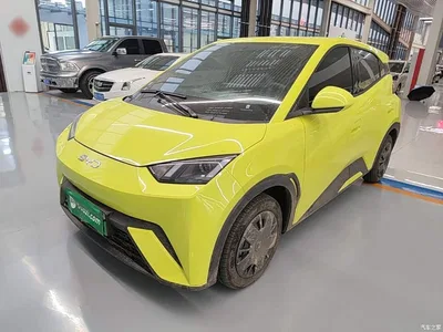 2024 BYD Seagull Glory Edition 305km Vitality Edition, фото 2, лот 11584482