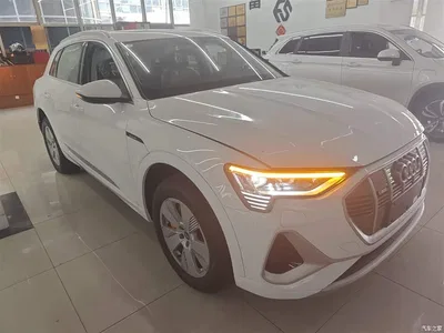 2021 Audi e-tron 50 quattro Luxury, фото 4, лот 10473638