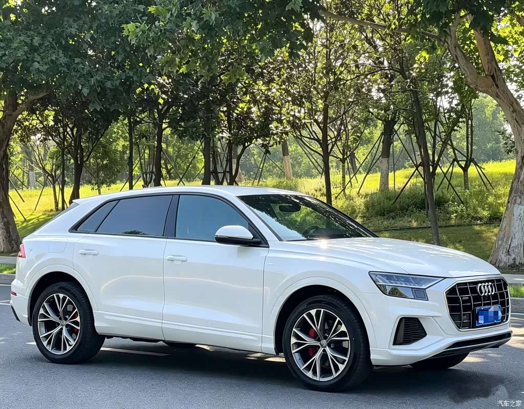 2019 Audi Q8 55 TFSI Premium Dynamic, фото 3, лот 11206488