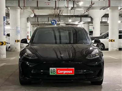 2022 Tesla Model 3 Model Rear-Wheel Drive Version, фото 2, лот 10771007