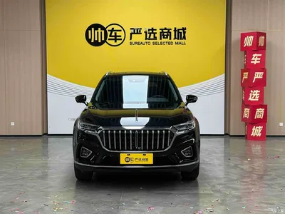 2022 Hongqi HS5 2.0T Smart Connect Premium Edition, фото 3, лот 10443089