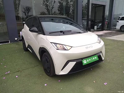 2024 BYD Seagull Glory Edition 305km Vitality Edition, фото 4, лот 10808024