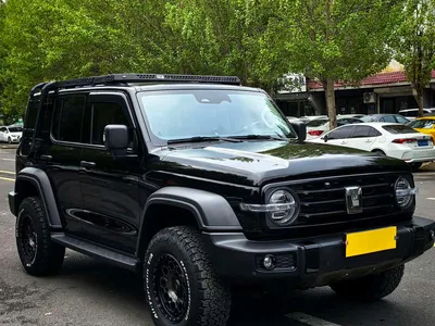2023 Tank 300 Off-Road Edition 2.0T Conqueror, фото 3, лот 11564488