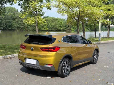 2019 BMW X2 (Import) sDrive20i M Off-Road Package China VI, фото 4, лот 11211230