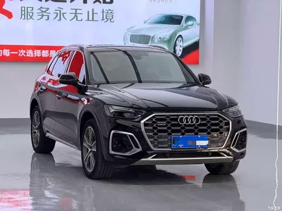 2023 Audi Q5L 45T Premium Dynamic, фото 3, лот 10456135