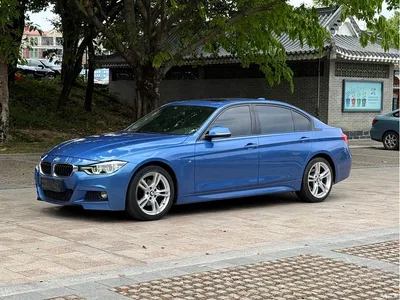 2017 BMW 3 Series 320Li M Sport, фото 1, лот 11475989