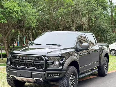 2019 Ford F-150 Raptor 3.5T Raptor Performance Edition, фото 2, лот 10299770