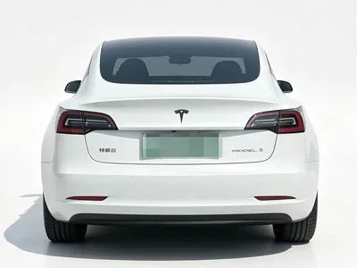 2020 Tesla Model 3 Standard Range Rear-Wheel Drive Upgrade, фото 3, лот 11016951
