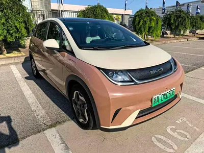 2021 BYD Dolphin Model 405km Fashion Edition, фото 3, лот 10248193
