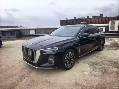 2023 Hongqi H5 2.0T Auto Smart Connect Flag Comfort, фото 1, лот 10285386