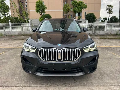 2021 BMW X1 sDrive20Li Fashion, фото 2, лот 10466752
