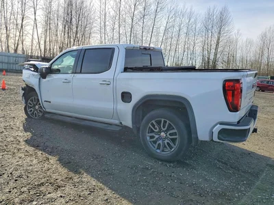 2020 GMC SIERRA K1500 AT4, фото 2, лот 10818161