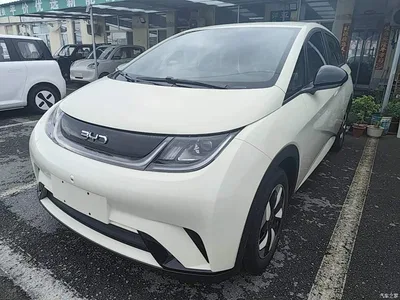 2025 BYD Dolphin 420km Freedom Edition, фото 1, лот 10264140