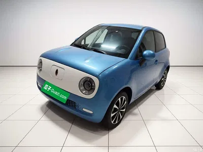2021 Ora Black Cat 301km Basic Model, фото 2, лот 10330769