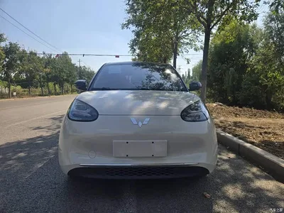 2024 Wuling Motors Wuling Bingo 333km Smart Connect Edition, фото 2, лот 11566062
