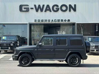 2019 Mercedes-Benz G-Class, фото 2, лот 10297963