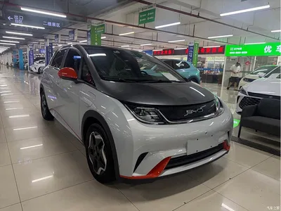 2021 BYD Dolphin Model 405km Fashion Edition, фото 3, лот 10248420