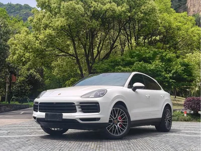 2022 Porsche Cayenne Coupé 3.0T Platinum Edition, фото 1, лот 10412157