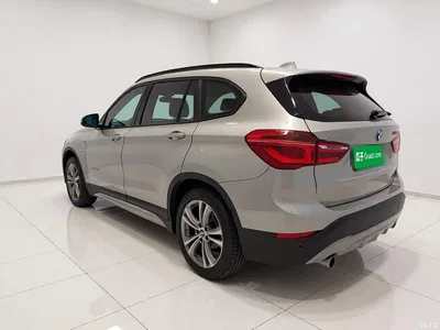 2018 BMW X1 sDrive18Li Premium Model, фото 4, лот 11074339