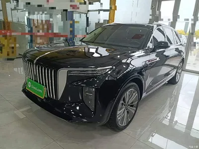 2022 Hongqi E-HS9 690km Qi Xiang Edition (6-seater), фото 2, лот 10289424